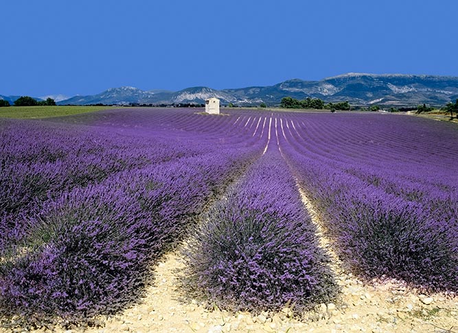 luxury property buyers guide to provence