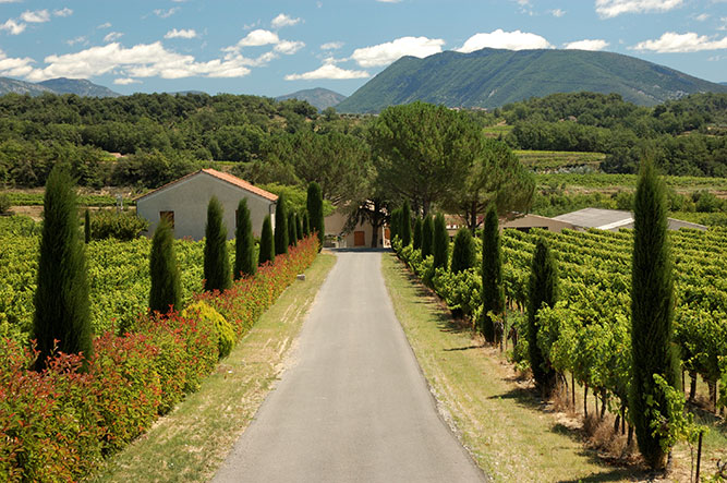 The 5 Best Places to Retire in France (and Take It Easy) 5 provence667-1