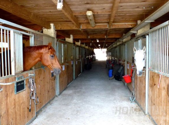 Five Must-See Equestrian Properties For Sale in France 2