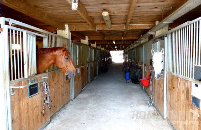 Five Must-See Equestrian Properties For Sale in France 2 Five Must-See Equestrian Properties For Sale in France 2