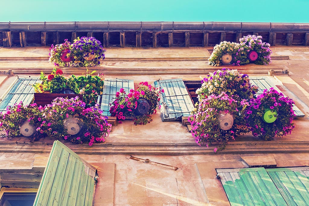 Why Fayence should be top of your house hunting in France list 2 house hunting in france