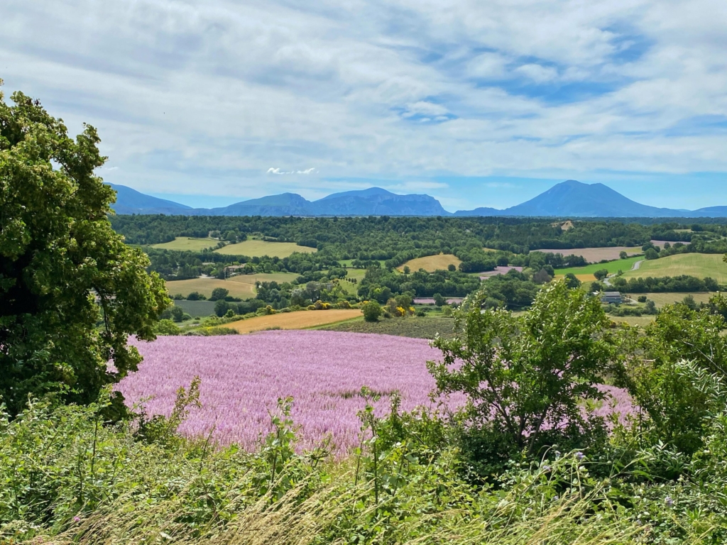 Finding your stunning dream property in France 2 property in france