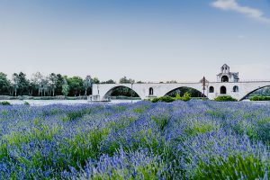 avignon property for sale