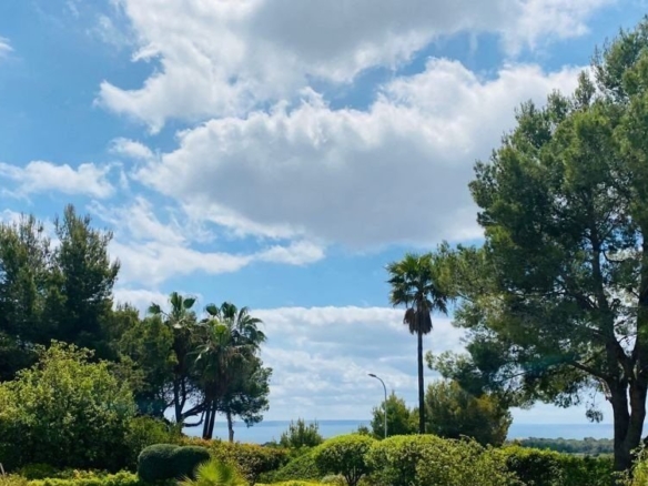 Land in Bendinat 12