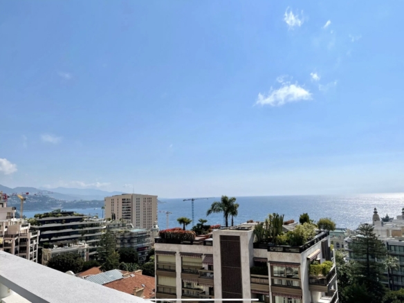 2 Bedroom Apartment in Monaco 6