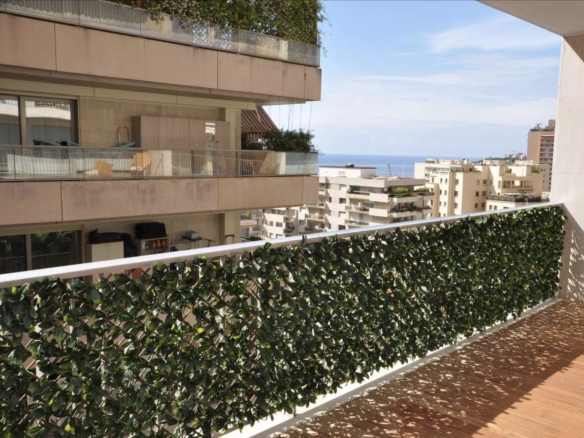 4 Bedroom Apartment in Monaco 36