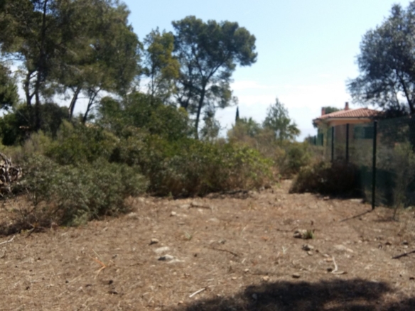 Land in Cala Vinyes 22