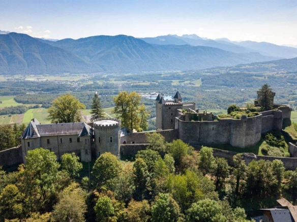 Castle/Estates in Saint Pierre De L Albigny 20