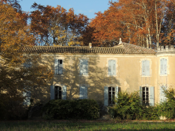 Castle/Estates in Venejan 2