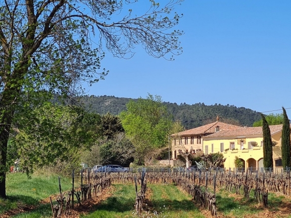 10 Bedroom Vineyard in Lorgues 6