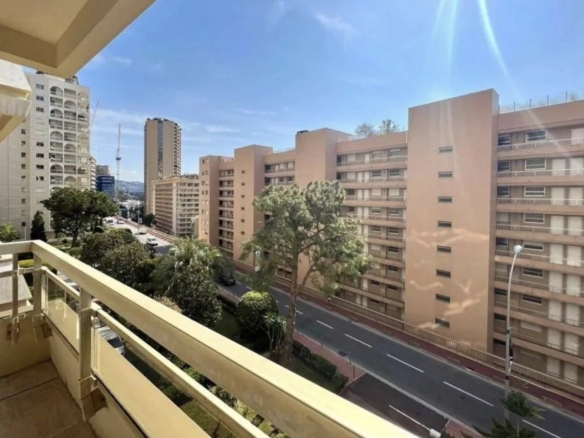 1 Bedroom Apartment in Monaco 24