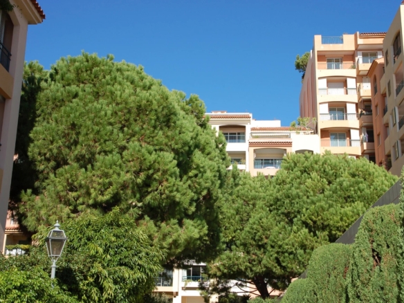 4 Bedroom Apartment in Monaco 18