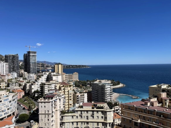 4 Bedroom Apartment in Monaco 22