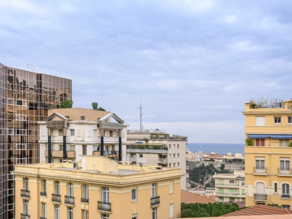 1 Bedroom Apartment in Monaco 30