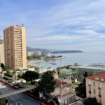 3 Bedroom Apartment in Monaco 4