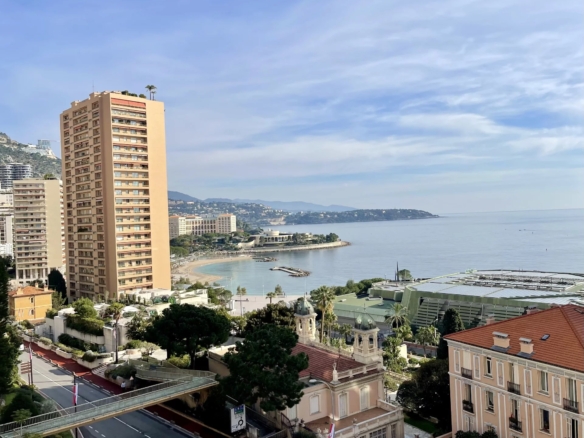 3 Bedroom Apartment in Monaco 28