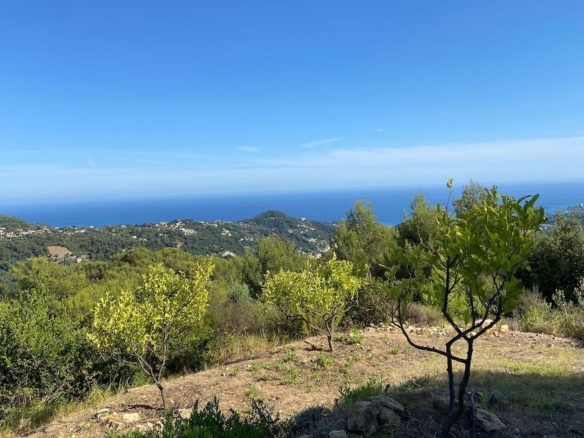 Villa/House in Menton 6