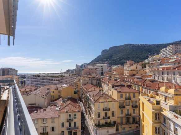 2 Bedroom Apartment in Monaco 28
