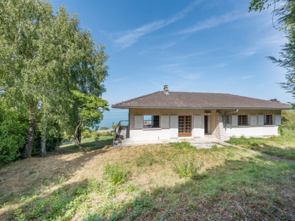 6 Bedroom Villa/House in Publier 14
