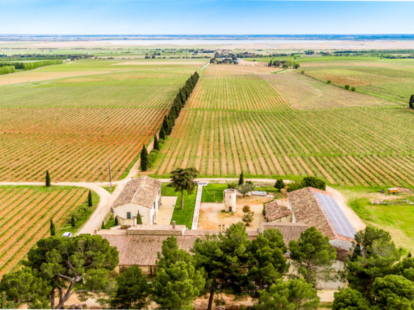 10 Bedroom Vineyard in Vauvert 34