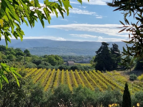 4 Bedroom Vineyard in Avignon 28