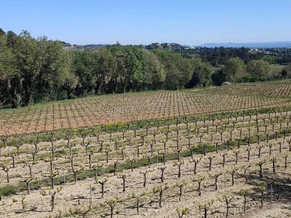 6 Bedroom Vineyard in Pont St Esprit 18
