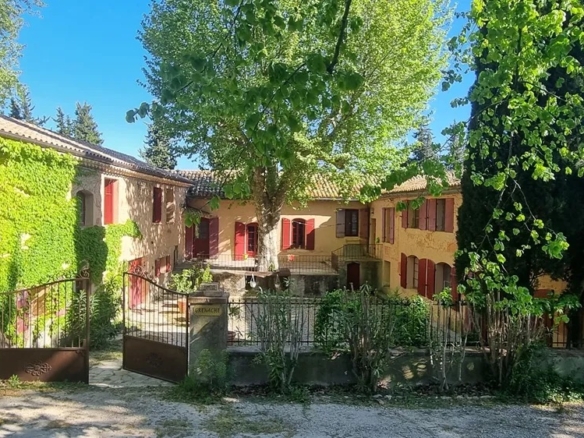 Vineyard in Orange 10