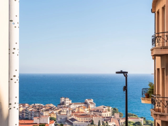 3 Bedroom Apartment in Monaco 36