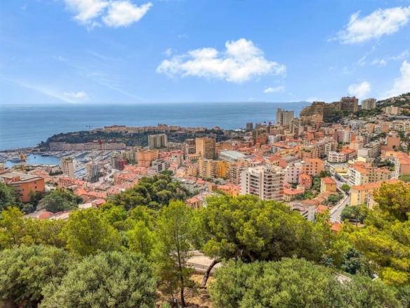 Land in Beausoleil 6