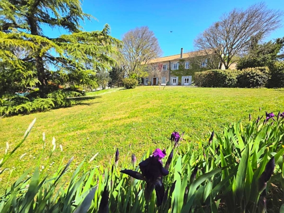 7 Bedroom Villa/House in Montelimar 6