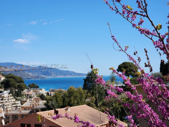 4 Bedroom Villa/House in Roquebrune Cap Martin 8
