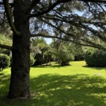 3 Bedroom Villa/House in Grimaud 15