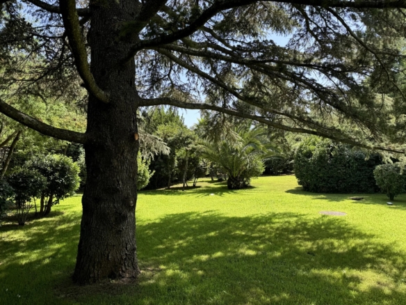 3 Bedroom Villa/House in Grimaud 16