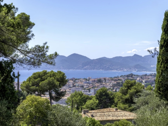 Land in Cannes 4
