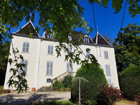9 Bedroom Castle/Estates in Pont-d'ain 46