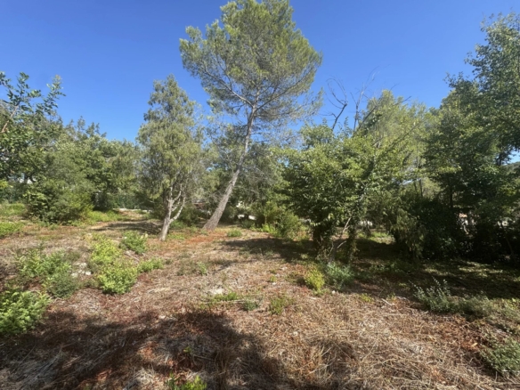 Land in Opio 18