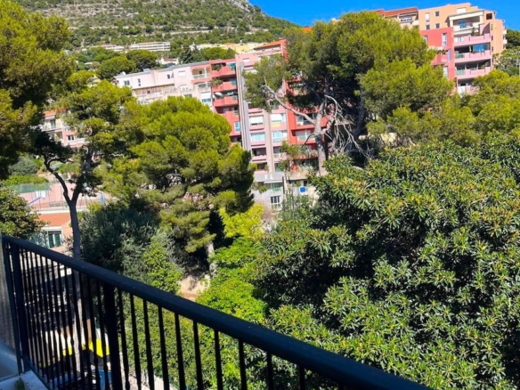 2 Bedroom Apartment in Cap D Ail 16