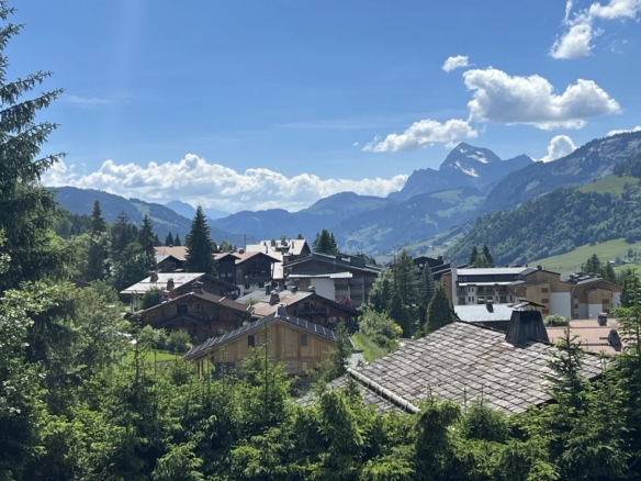 3 Bedroom Apartment in Megeve 12