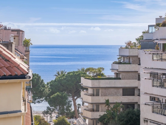 4 Bedroom Apartment in Cannes 34