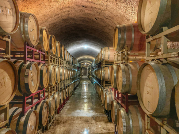 Image of a long line of wine barrels in the cellar of a french vineyard.