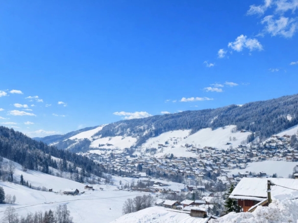 Villa/House in Le Grand Bornand 24