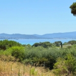 Land in Ste Maxime 11