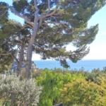 3 Bedroom Villa/House in Cassis 6
