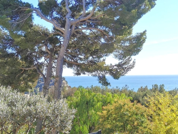 3 Bedroom Villa/House in Cassis 12