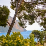 5 Bedroom Villa/House in Cassis 14
