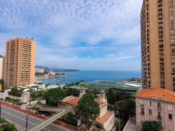 1 Bedroom Apartment in Monaco 14