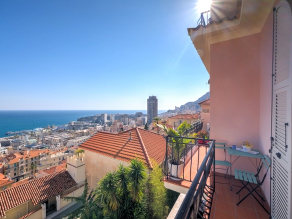 2 Bedroom Apartment in Beausoleil 22