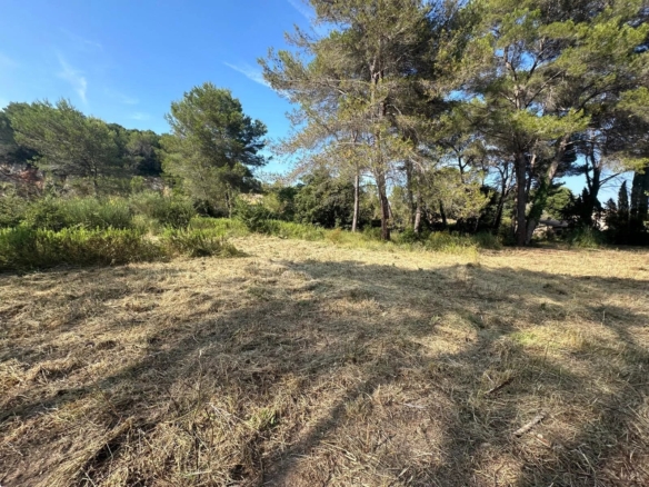 Land in Mougins 32