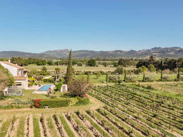 7 Bedroom Castle/Estates in Violes 32