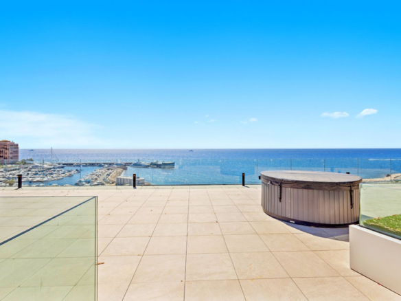 3 Bedroom Apartment in Cap D Ail 36